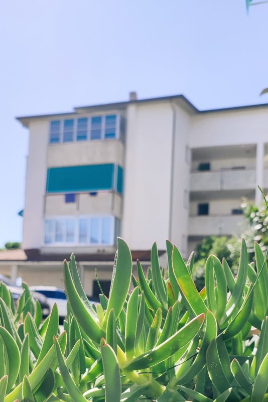 OCCASIONE - MONOLOCALE VICINO AL MARE